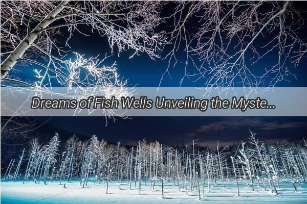 Dreams of Fish Wells Unveiling the Mysteries and Meanings of a DeepSea Dream Journey